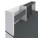  Franca Desk - Gray/ White