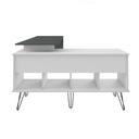  Palhoca Desk - White/ Gray