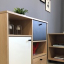 Belem Cabinet with 1 Door and 2 Drawers - Light Oak/ White/ Gray