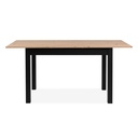 Hamm 120 Extendable table