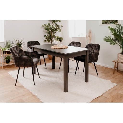 Hamm 140 Extendable table