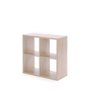 Wuppertal Shelving unit with 4 cubes