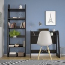 Camacari Desk - Black