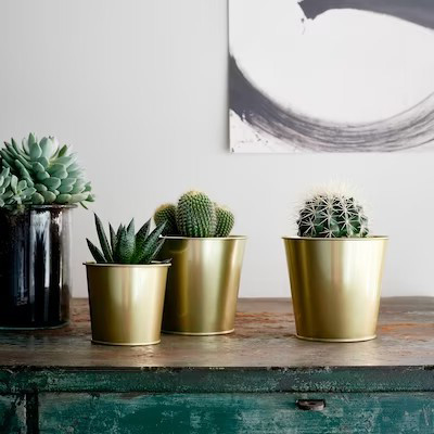 Daidai Plant Pot Brass-Colour 9 cm