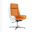 Bibai Office Chair High back Steel Five-star foot