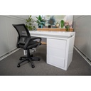 Idiya Aspen desk, White