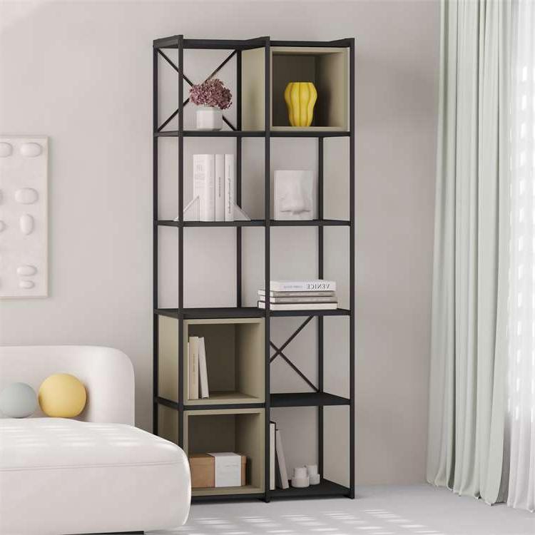 Toprakkale BLACK WOOD - ASH GREEN BOOKCASES