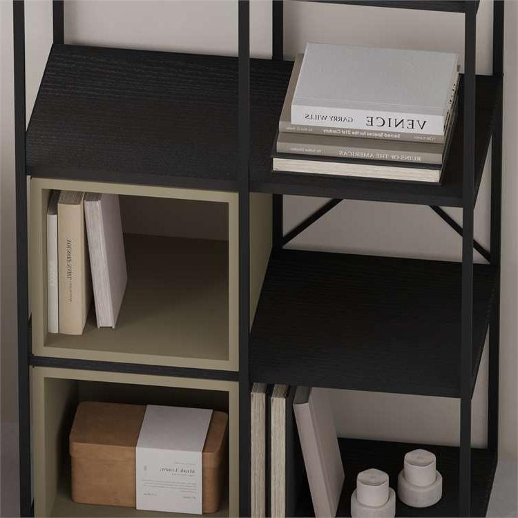 Toprakkale BLACK WOOD - ASH GREEN BOOKCASES