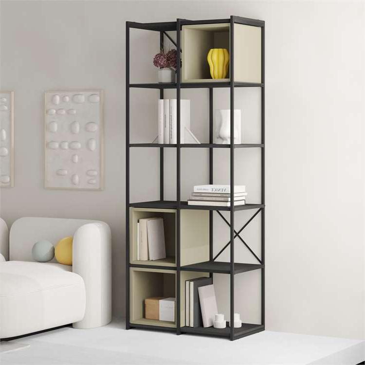 Toprakkale BLACK WOOD - ASH GREEN BOOKCASES