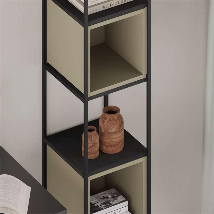 Yurtbası BLACK WOOD - ASH GREEN BOOKCASES