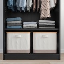 IKEA Rakkestad Wardrobe with 2 Doors, Black-Brown 79X176 cm