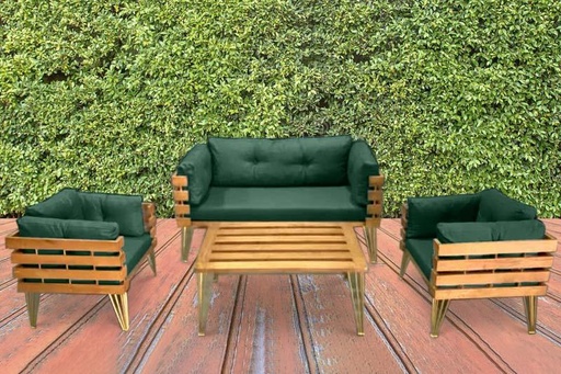 Dover Indoor- Covered Outdoor Sofa Set with One Coffee Table, Green