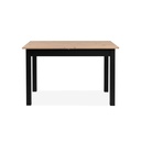 Hamm 120 Extendable table