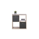 Wuppertal Shelving unit with 4 cubes