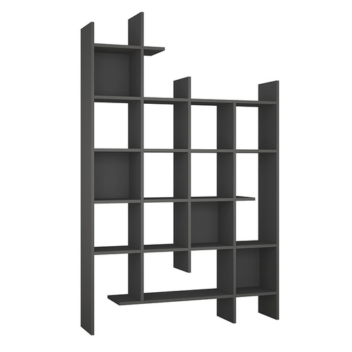 Ceyhan Bookcase - Anthracite - Anthracite